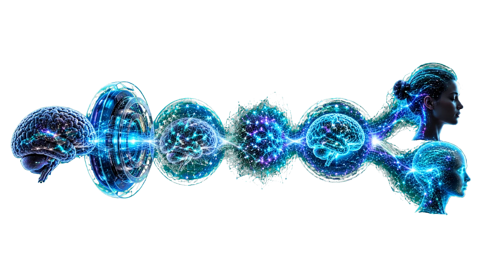 Mind uploading pipeline from biological brain scanning and connectome reconstruction to a simulated digital brain and separate digital copy.
